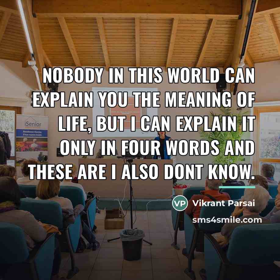 “Nobody in this world can explain you the meaning of…” quote by Vikrant Parsai