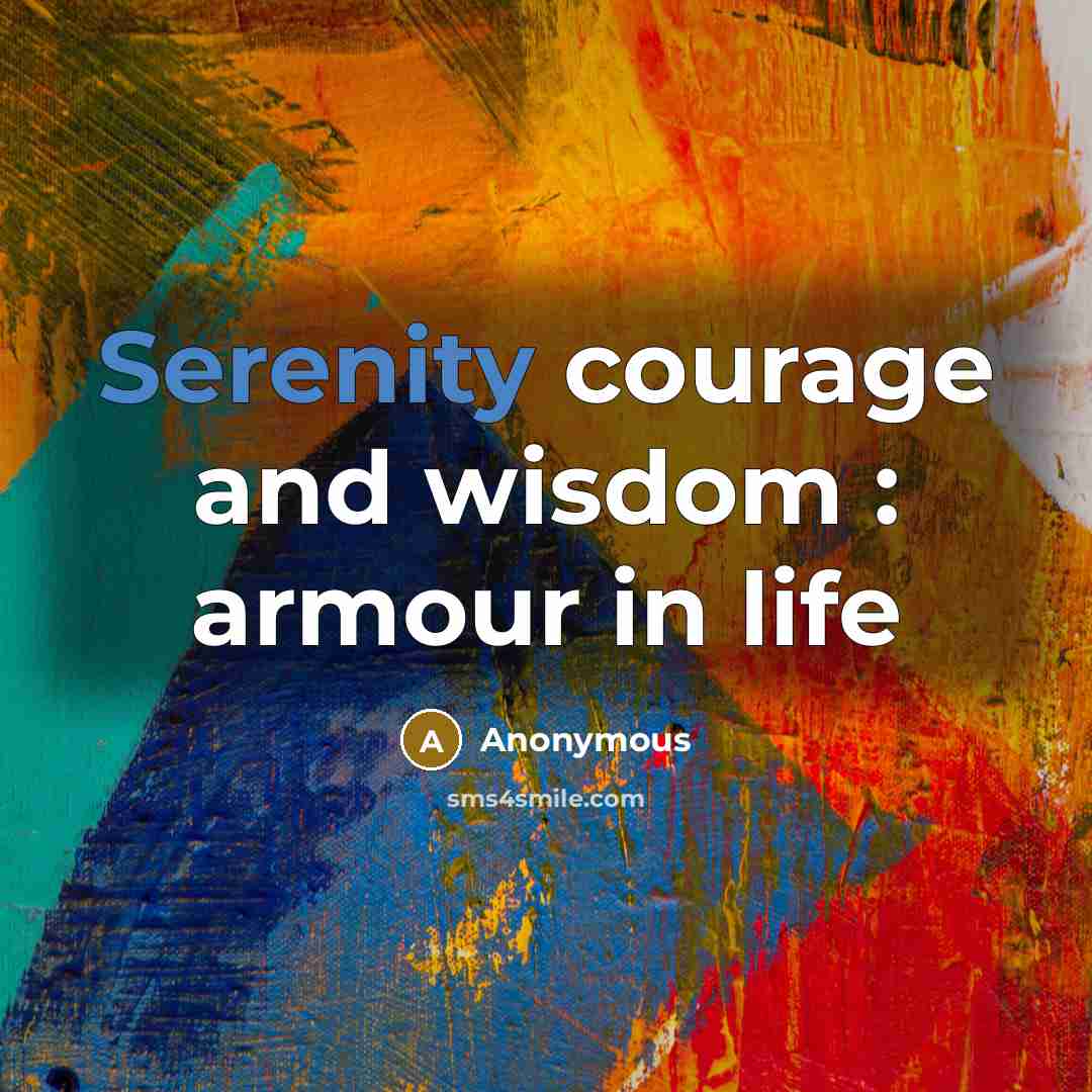 “Serenity courage and wisdom : armour in life…” quote by Anonymous