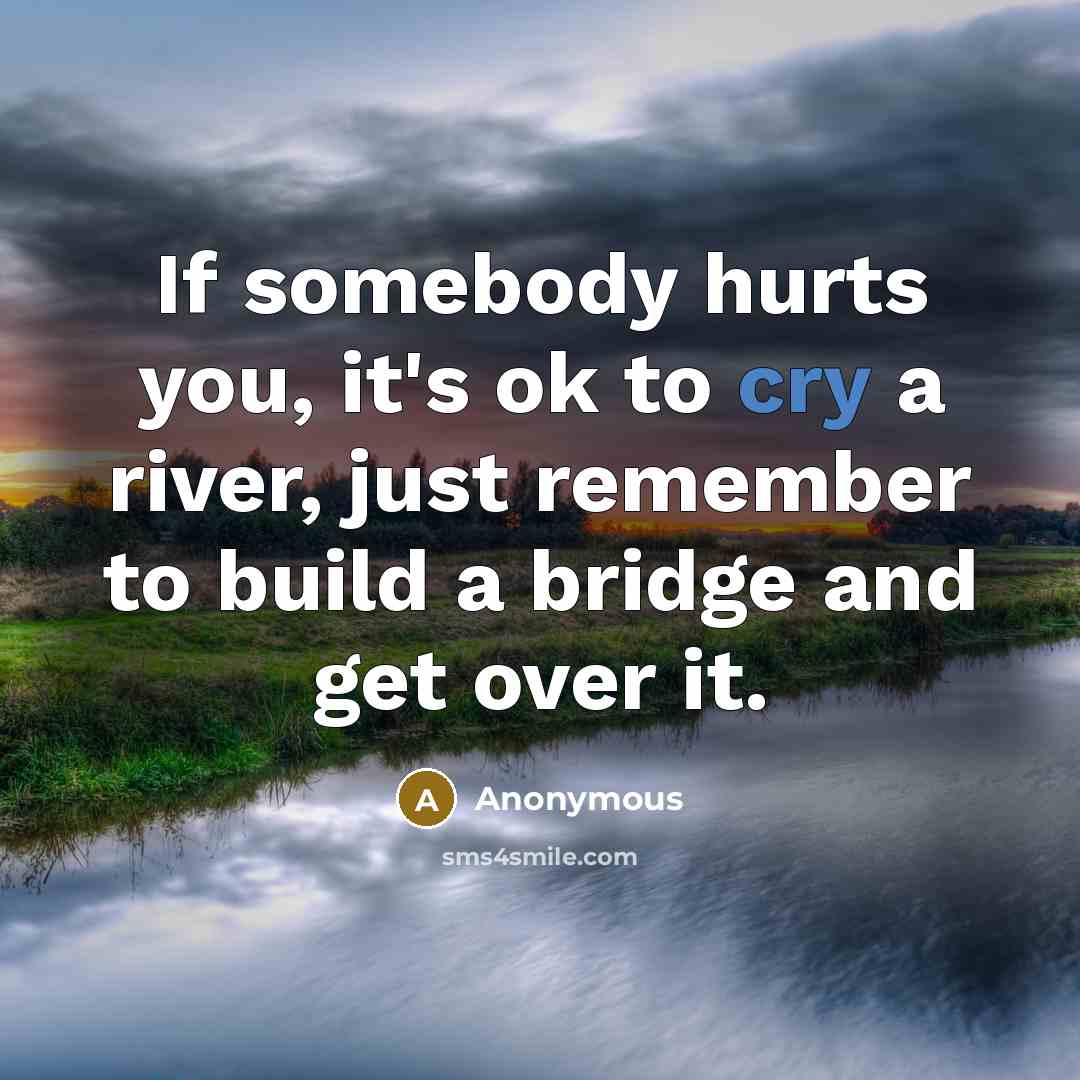 “If somebody hurts you, it's ok to cry a river, just remember to build a bridge and get over it.” quote by Anonymous