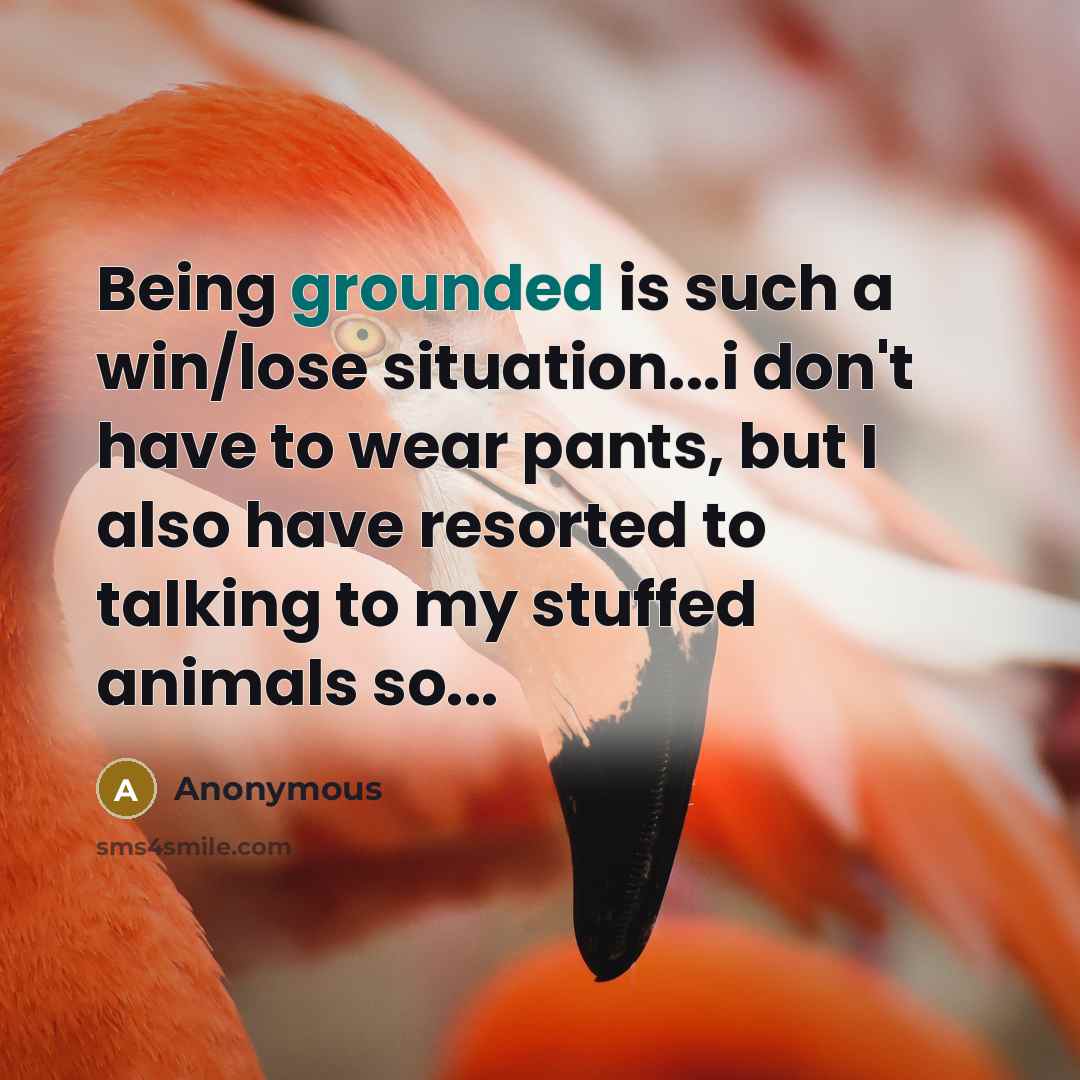 “Being grounded is such a win/lose situation...i don't have to wear pants, but I also have resorted to talking to my stuffed animals so...” quote by Anonymous