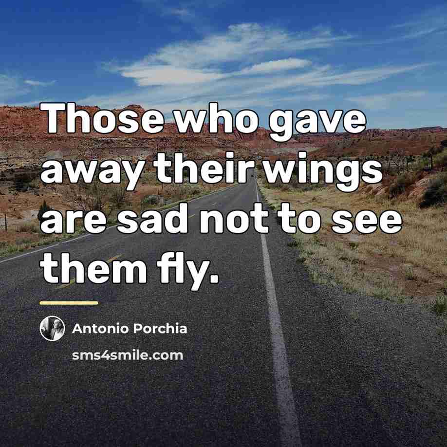 “Those who gave away their wings are sad not to…” quote by Antonio Porchia
