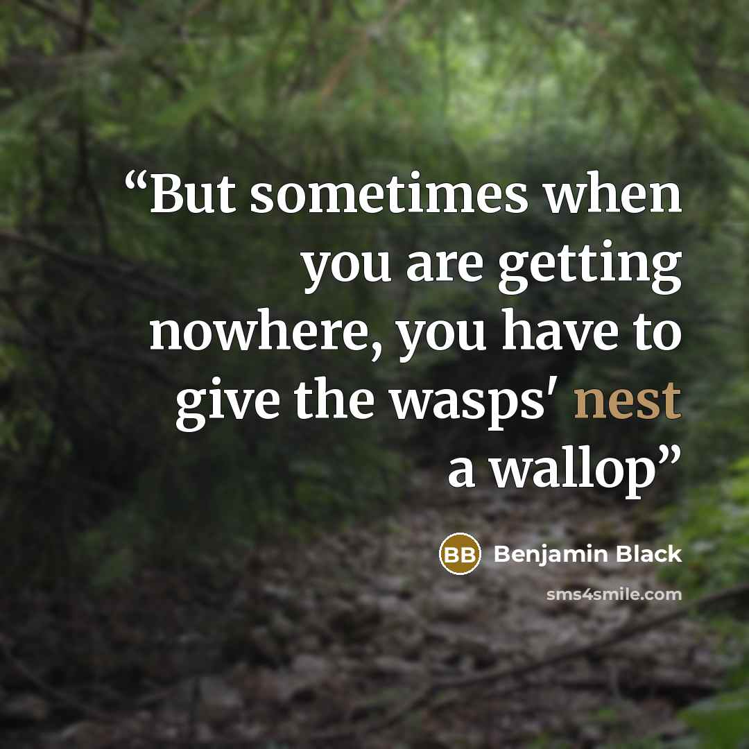 “But sometimes when you are getting nowhere, you have to give the wasps' nest a wallop” quote by Benjamin Black