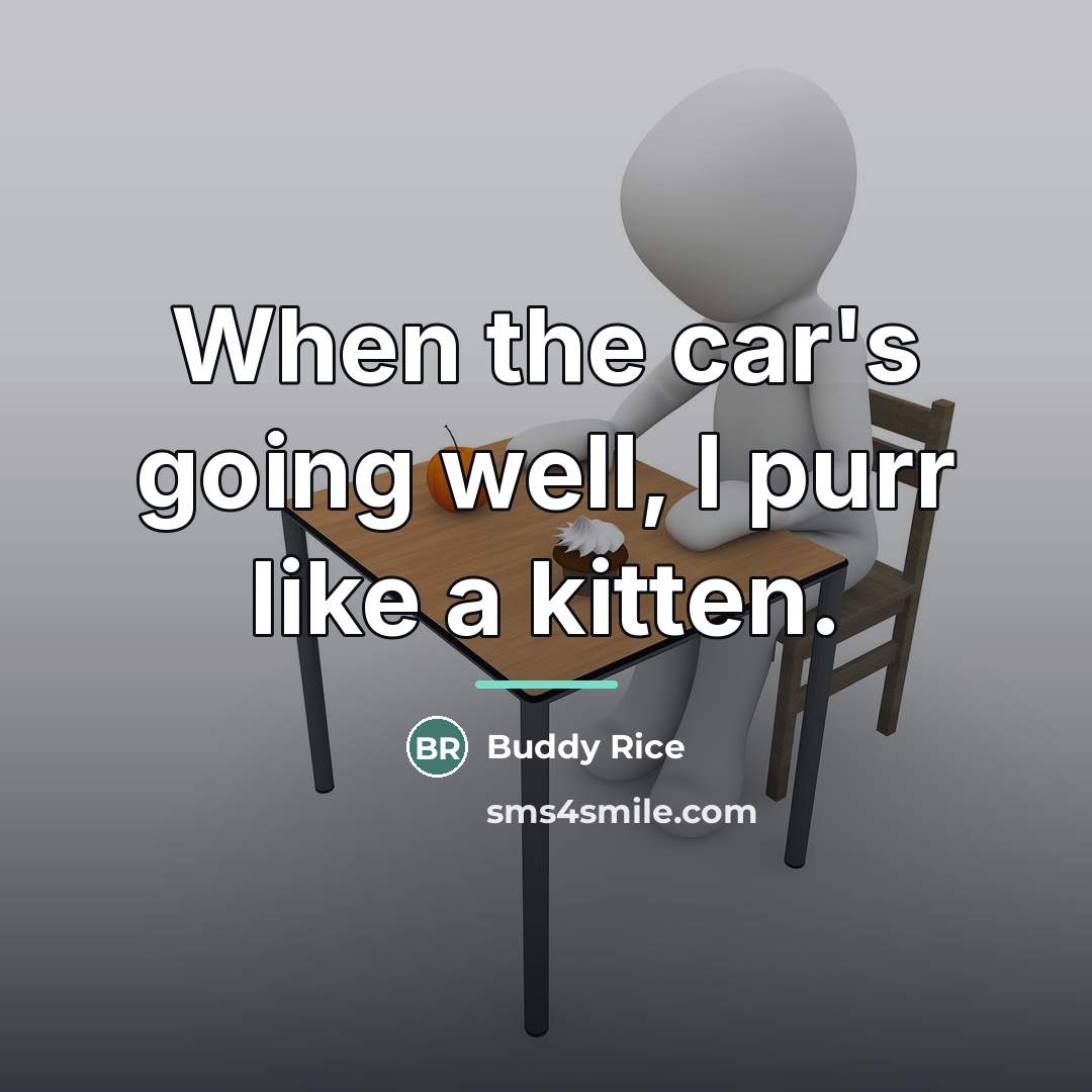 “When the car's going well, I purr like a kitten.…” quote by Buddy Rice