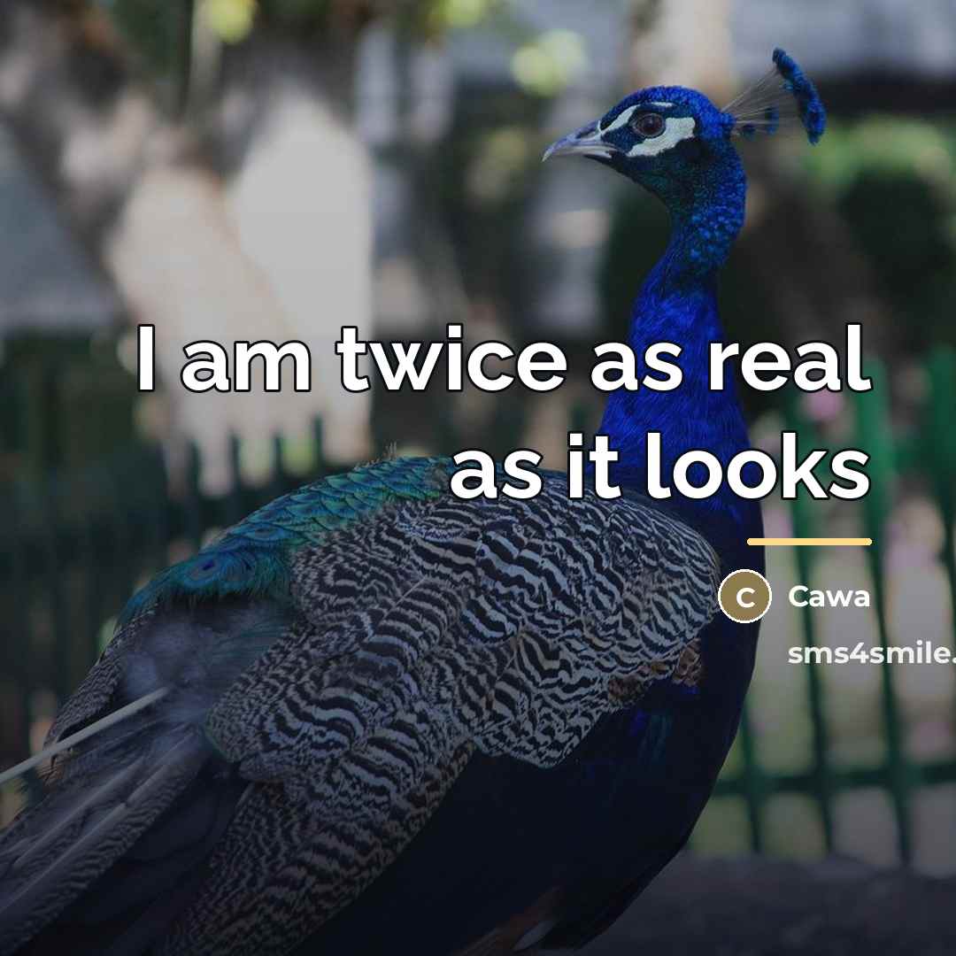 “I am twice as real as it looks…” quote by Cawa
