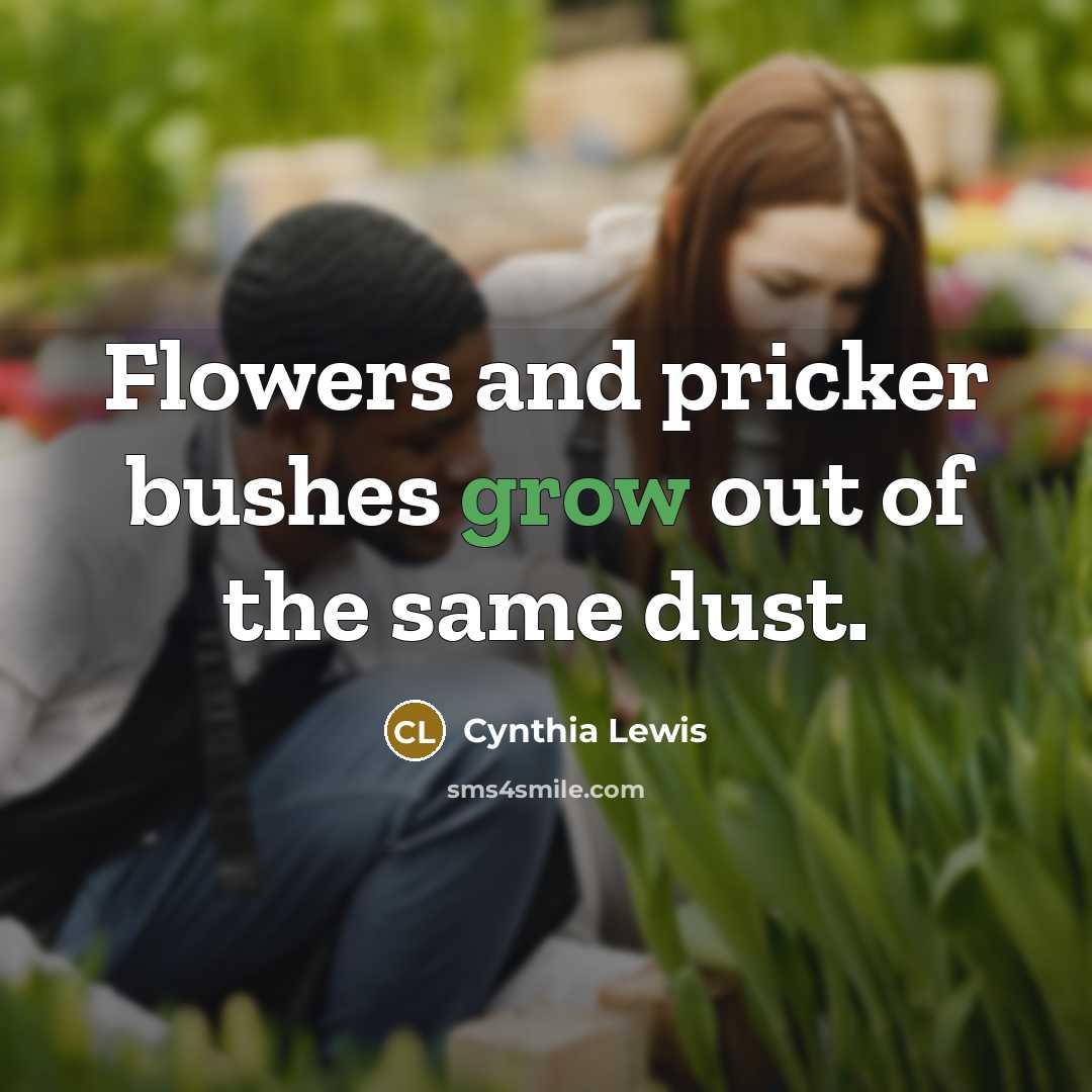 “Flowers and pricker bushes grow out of the same dust.” quote by Cynthia Lewis