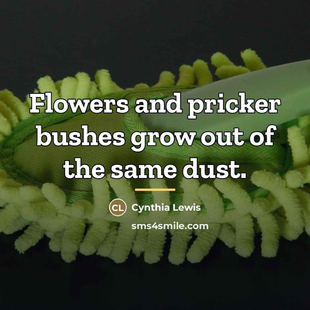 “Flowers and pricker bushes grow out of the same dust.…” quote by Cynthia Lewis