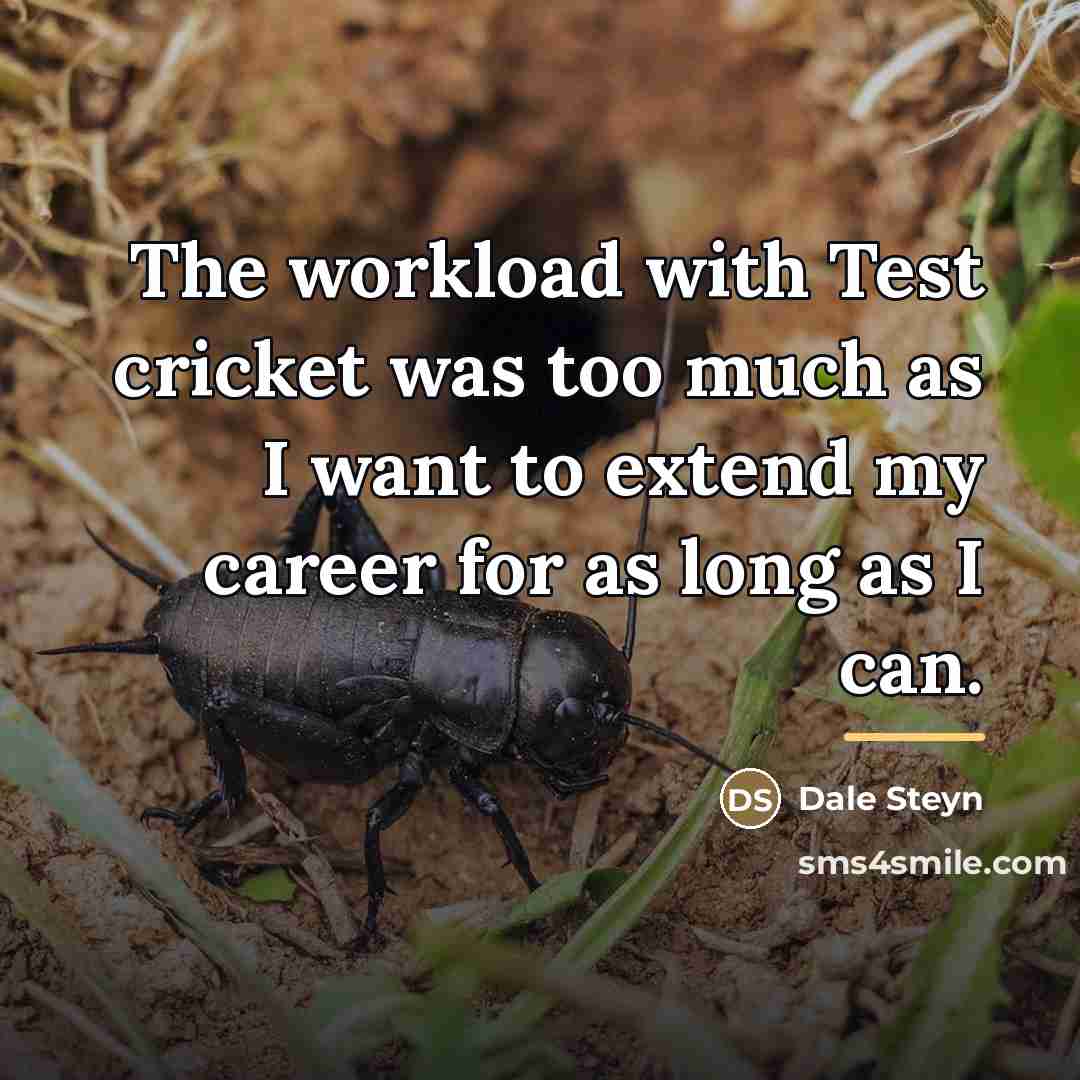 “The workload with Test cricket was too much as I…” quote by Dale Steyn