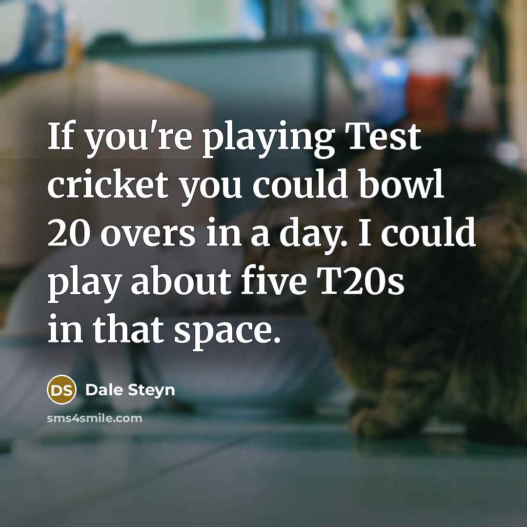 “If you're playing Test cricket you could bowl 20 overs…” quote by Dale Steyn
