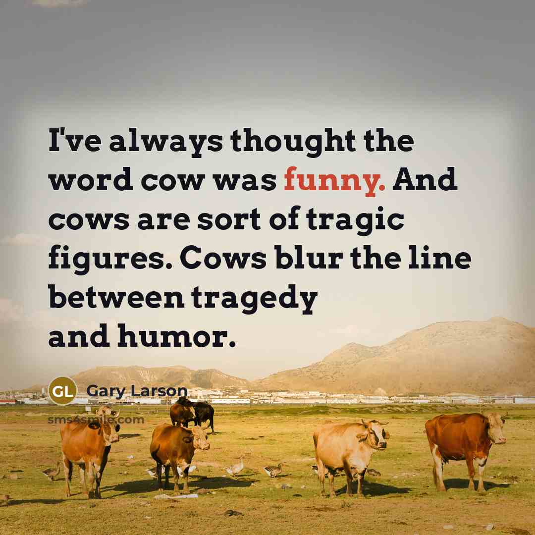 “I've always thought the word cow was funny. And cows…” quote by Gary Larson