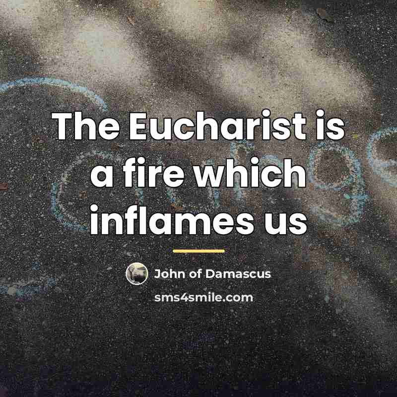 “The Eucharist is a fire which inflames us…” quote by John of Damascus