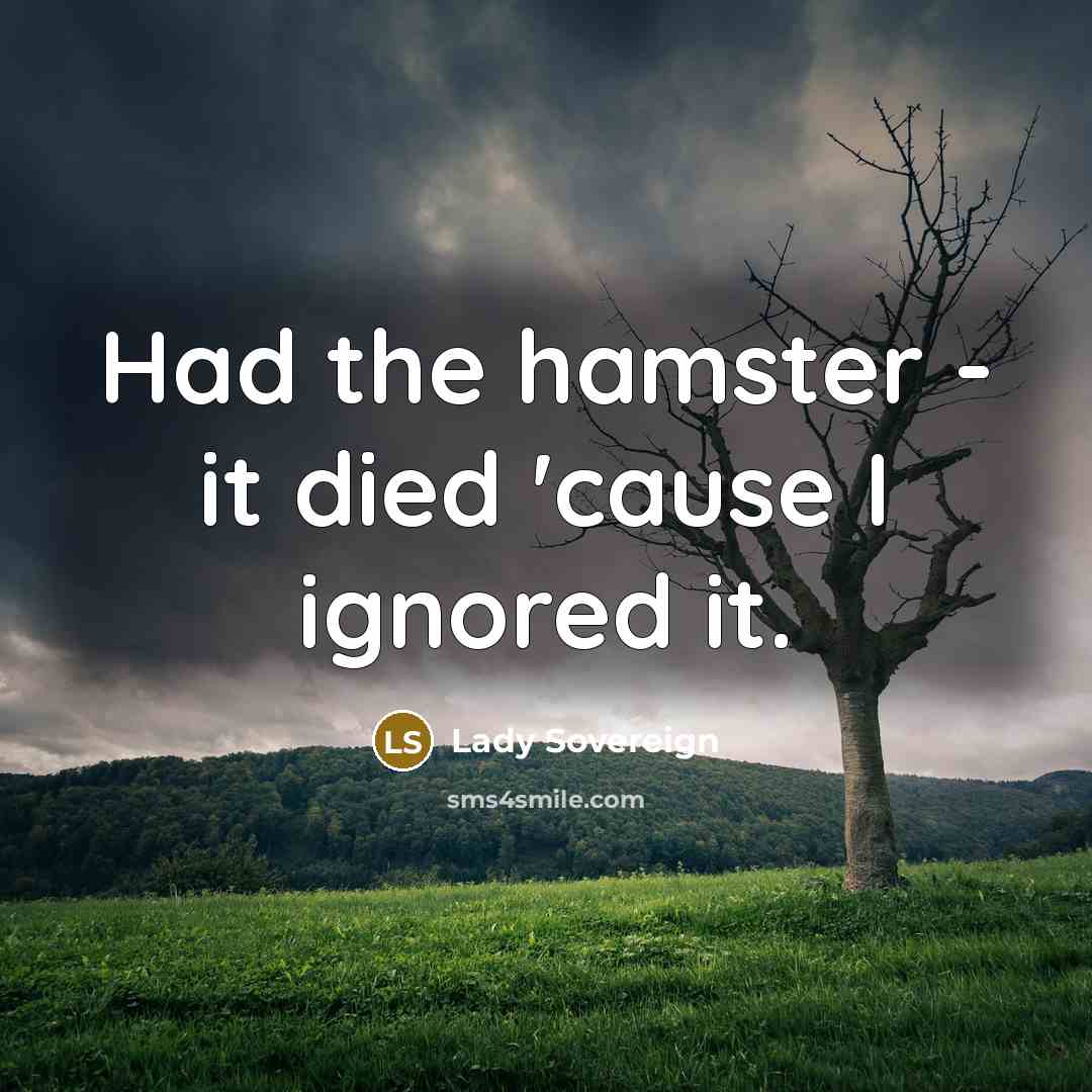 “Had the hamster - it died 'cause I ignored it.…” quote by Lady Sovereign