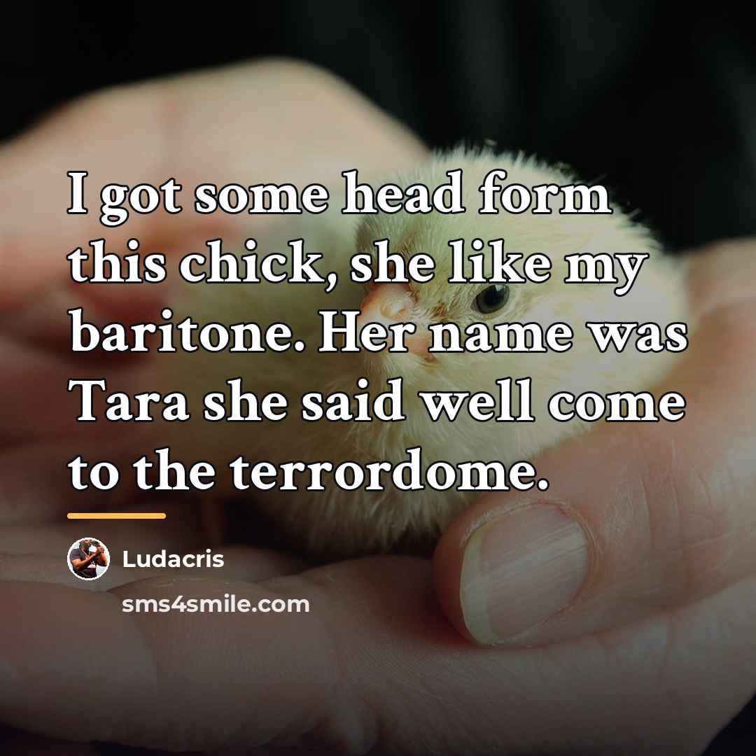 “I got some head form this chick, she like my…” quote by Ludacris