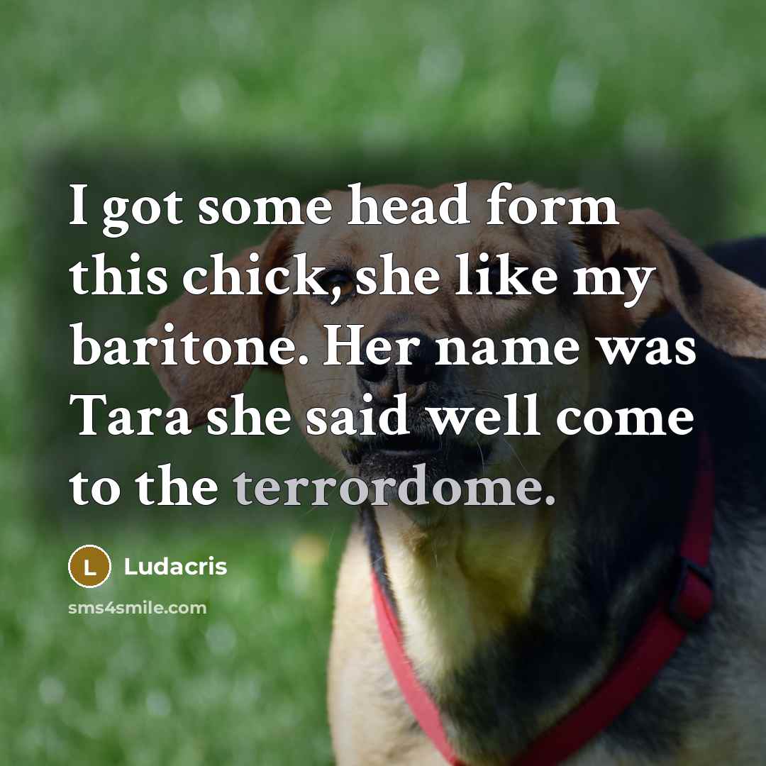 “I got some head form this chick, she like my baritone. Her name was Tara she said well come to the terrordome.” quote by Ludacris