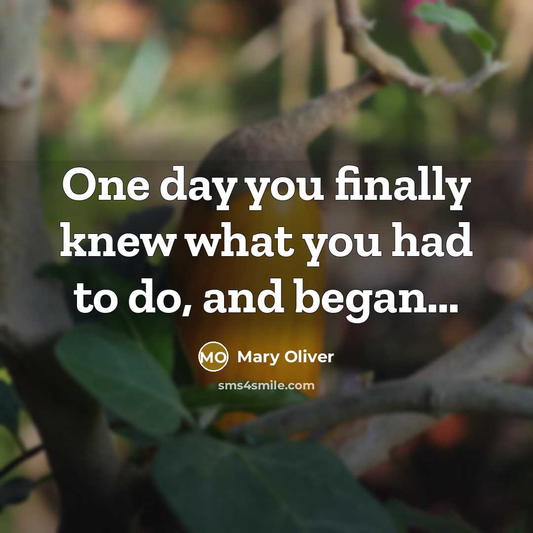 “One day you finally knew what you had to do, and began…” quote by Mary Oliver