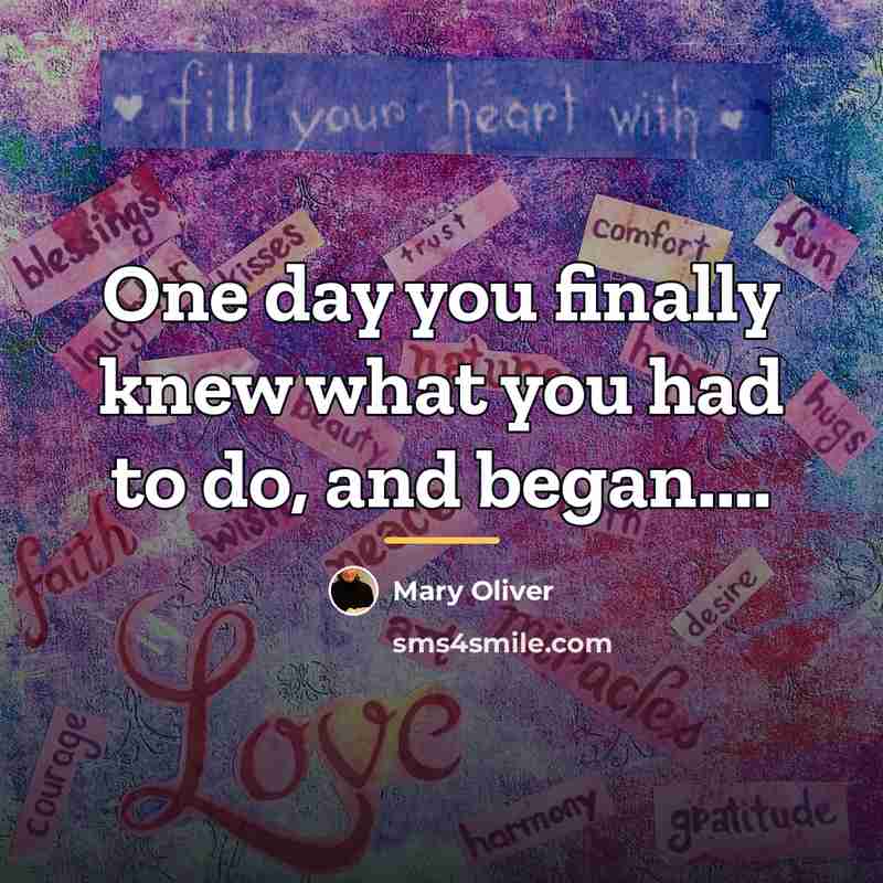 “One day you finally knew what you had to do,…” quote by Mary Oliver