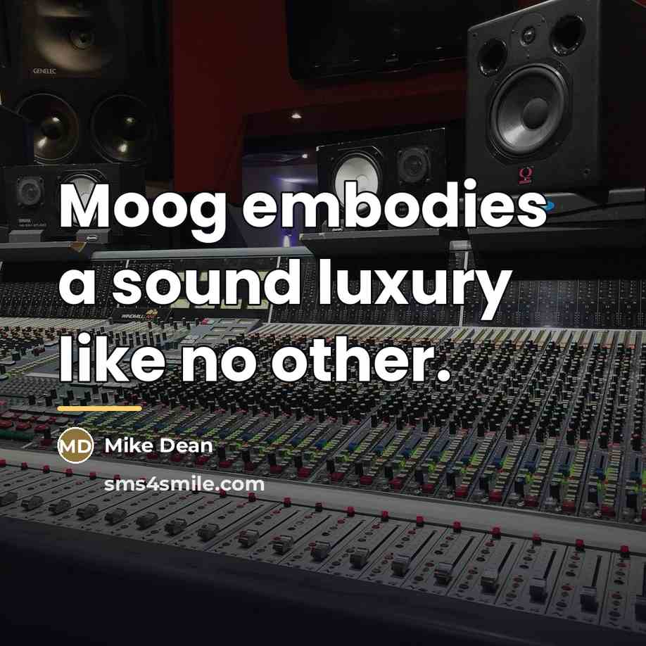 “Moog embodies a sound luxury like no other.…” quote by Mike Dean