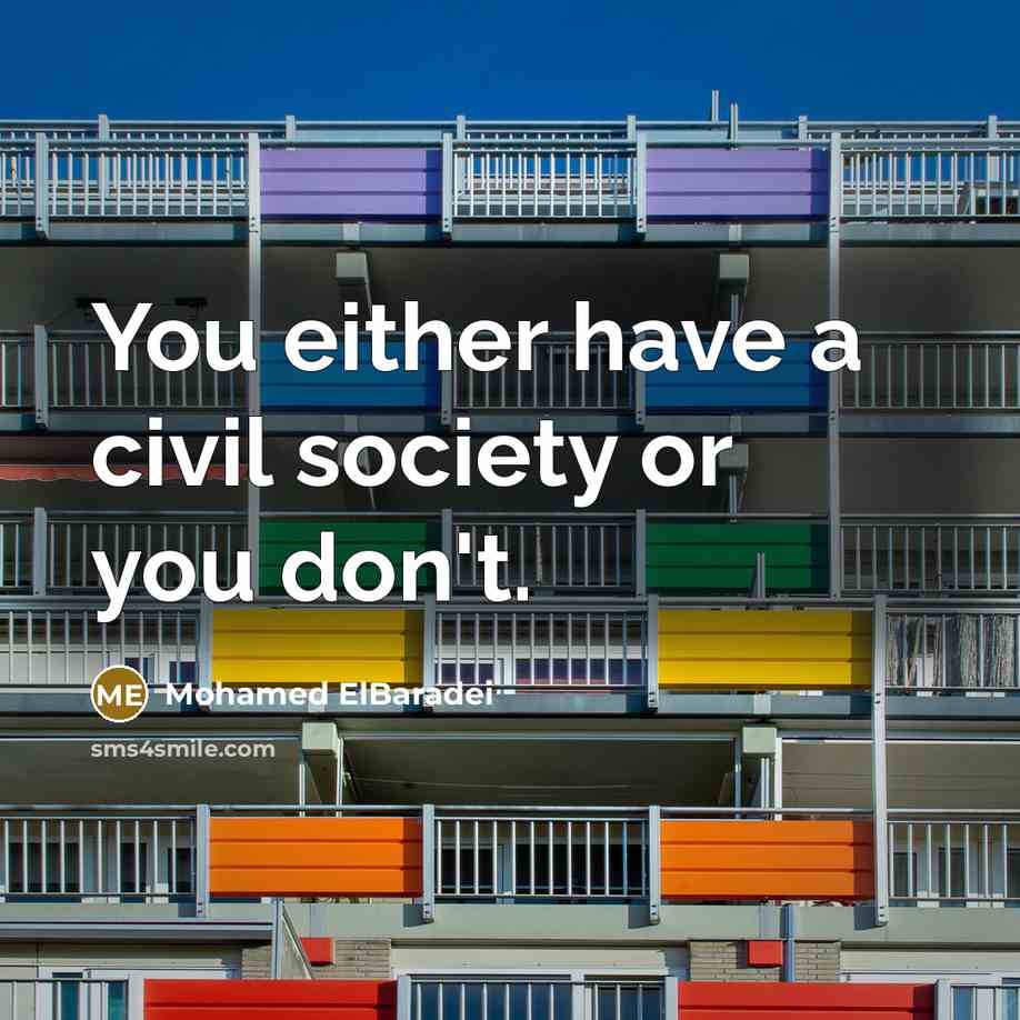 “You either have a civil society or you don't.…” quote by Mohamed ElBaradei