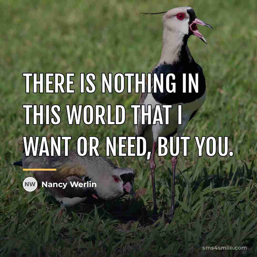 “There is nothing in this world that I want or…” quote by Nancy Werlin