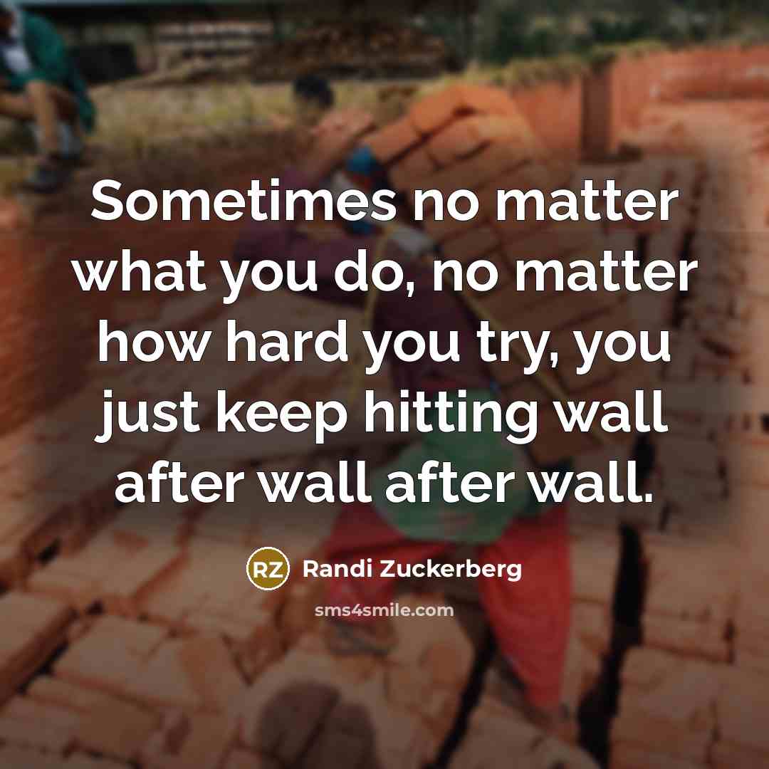 “Sometimes no matter what you do, no matter how hard…” quote by Randi Zuckerberg