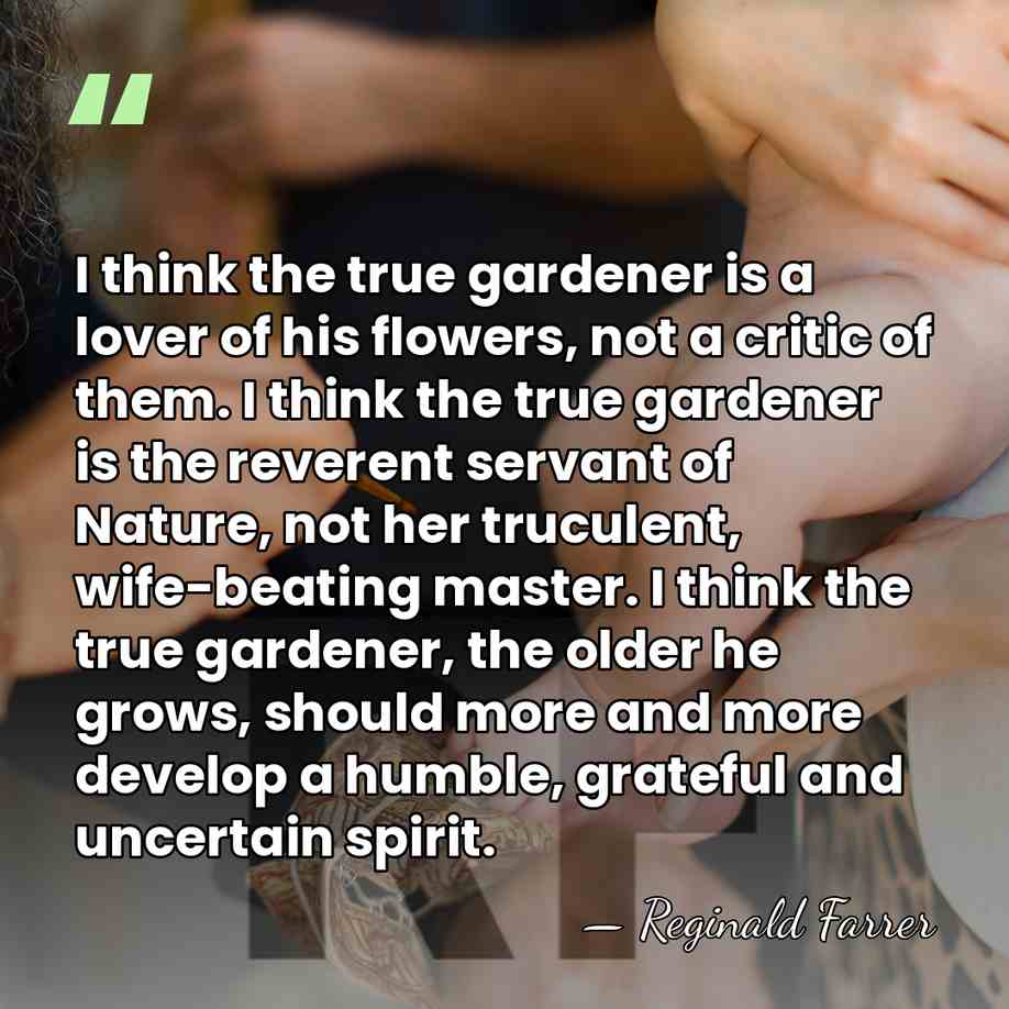 I think the true gardener is a lover of his flowers, not&hellip; - Reginald Farrer