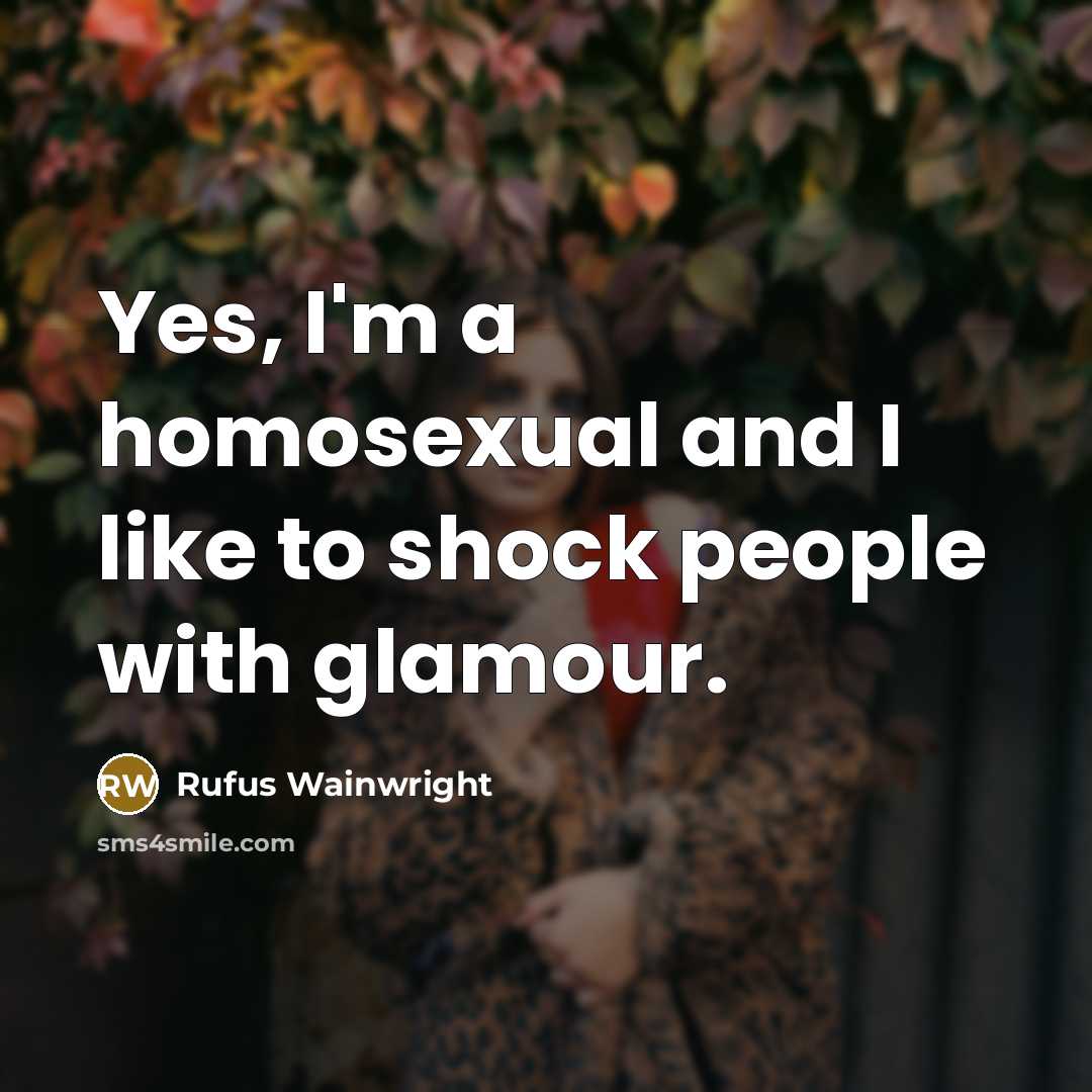 “Yes, I'm a homosexual and I like to shock people…” quote by Rufus Wainwright
