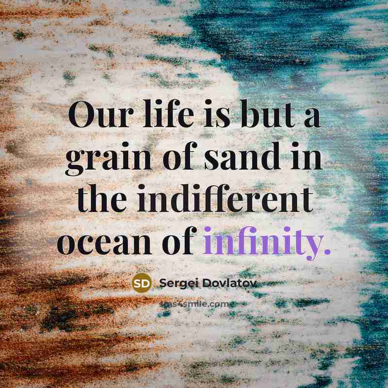 “Our life is but a grain of sand in the…” quote by Sergei Dovlatov