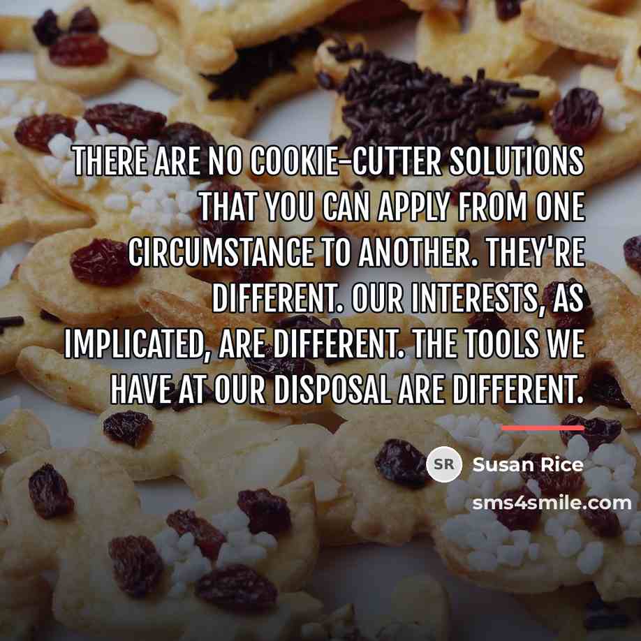 “There are no cookie-cutter solutions that you can apply from…” quote by Susan Rice
