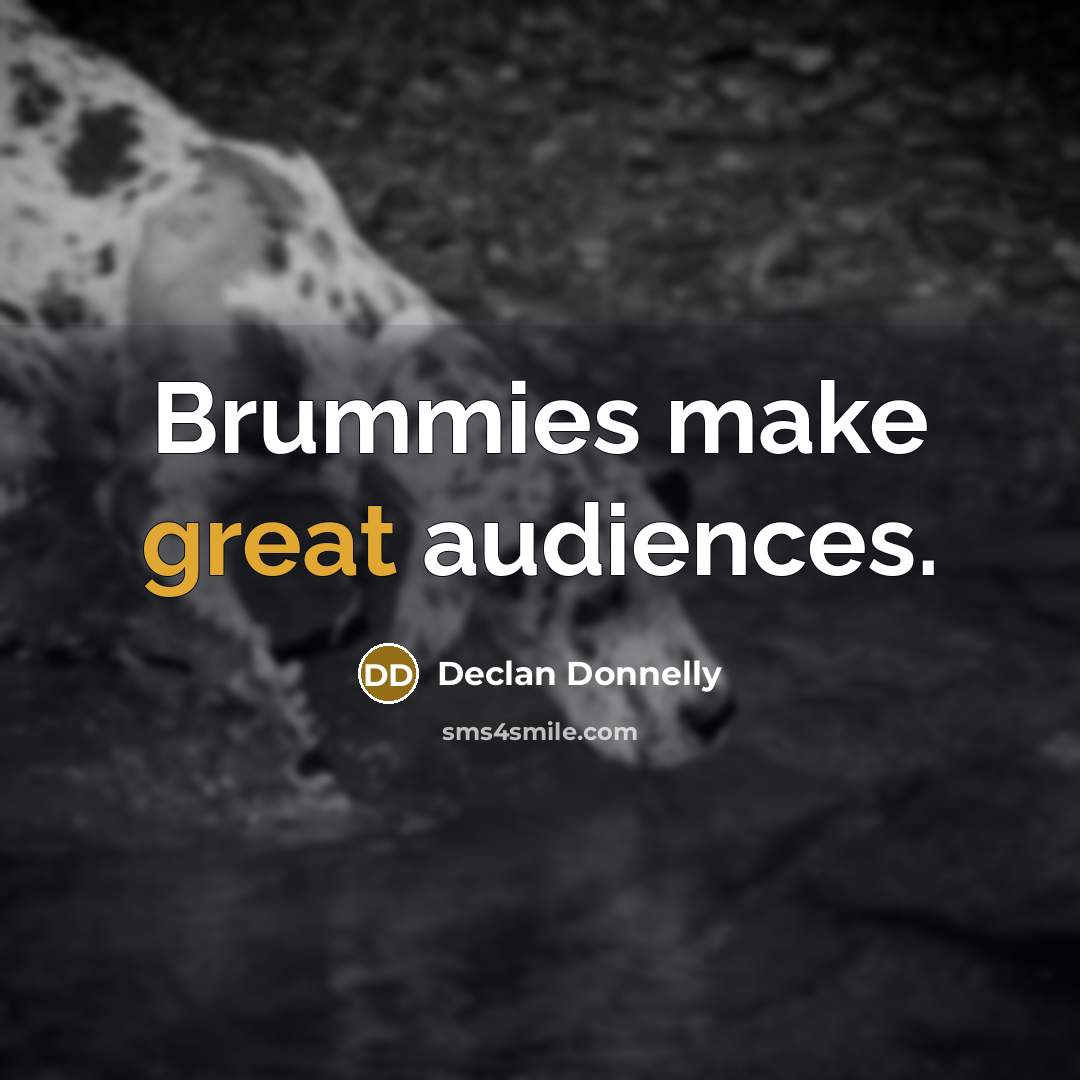 “Brummies make great audiences.…” quote by Declan Donnelly