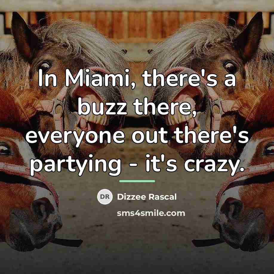 “In Miami, there's a buzz there, everyone out there's partying…” quote by Dizzee Rascal
