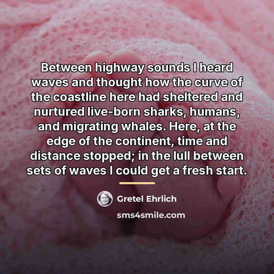 “Between highway sounds I heard waves and thought how the…” quote by Gretel Ehrlich