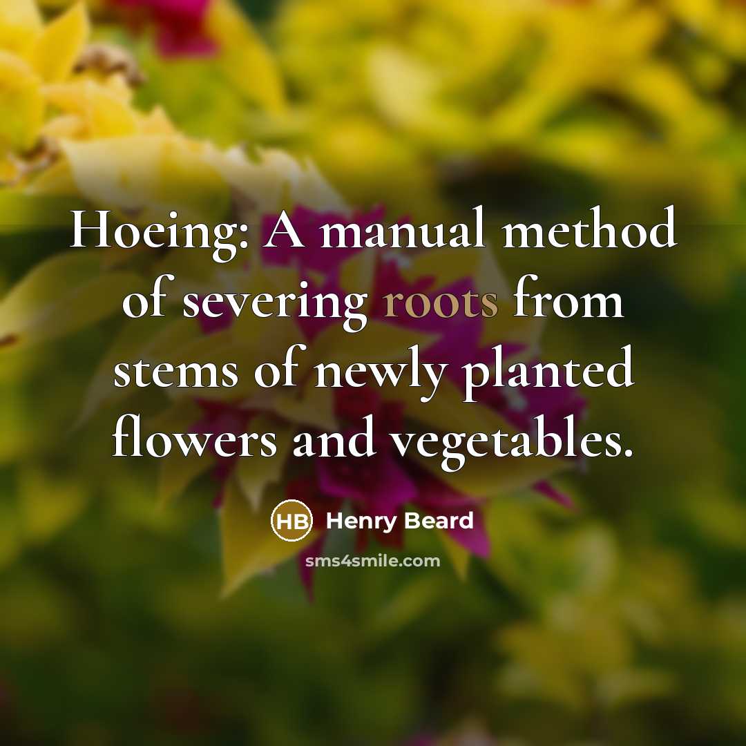 “Hoeing: A manual method of severing roots from stems of…” quote by Henry Beard