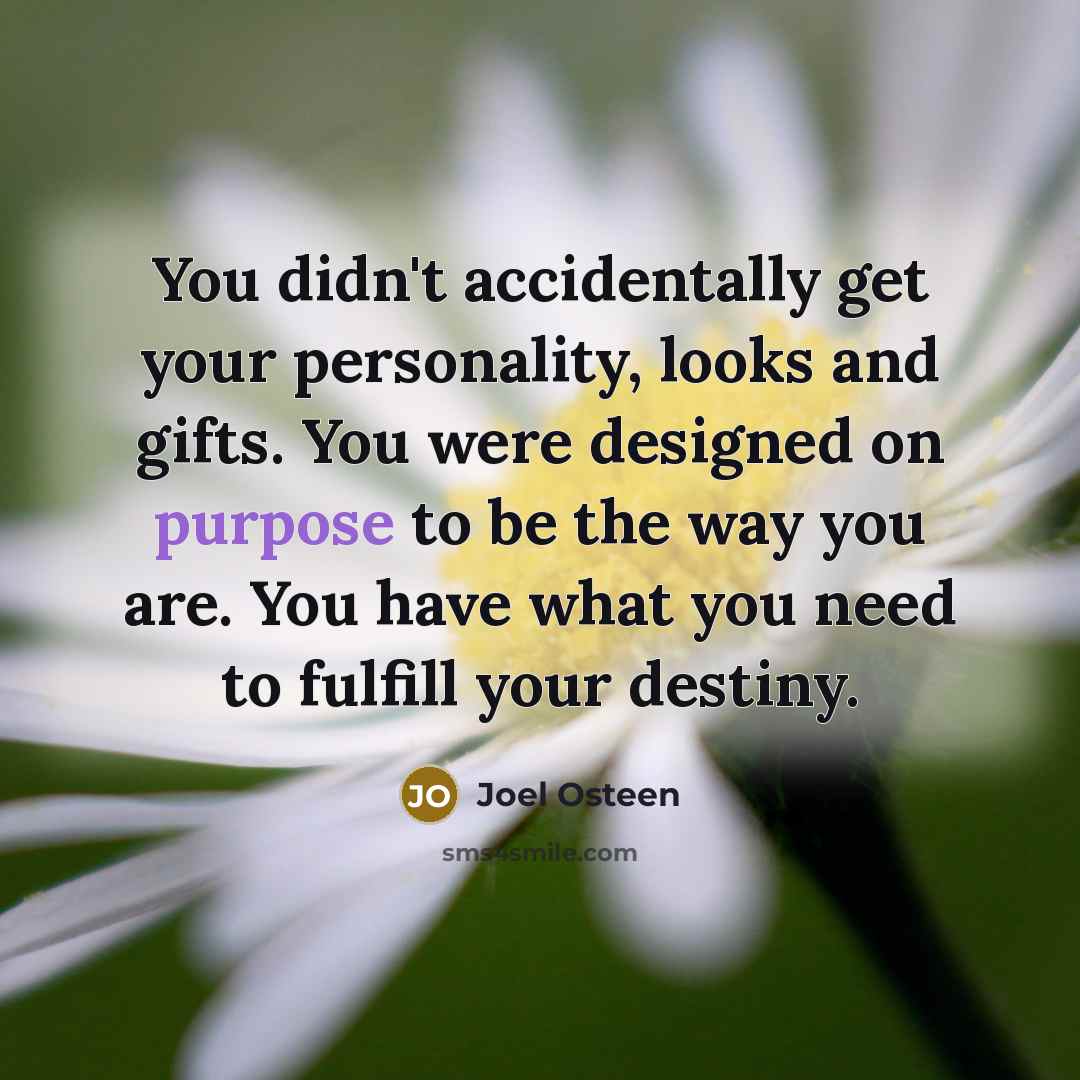“You didn't accidentally get your personality, looks and gifts. You…” quote by Joel Osteen