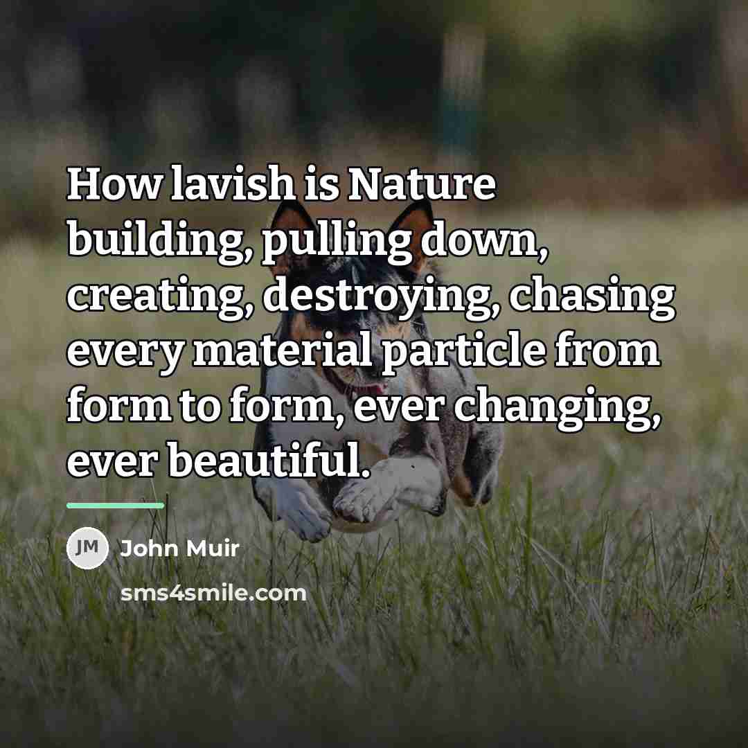 “How lavish is Nature building, pulling down, creating, destroying, chasing…” quote by John Muir