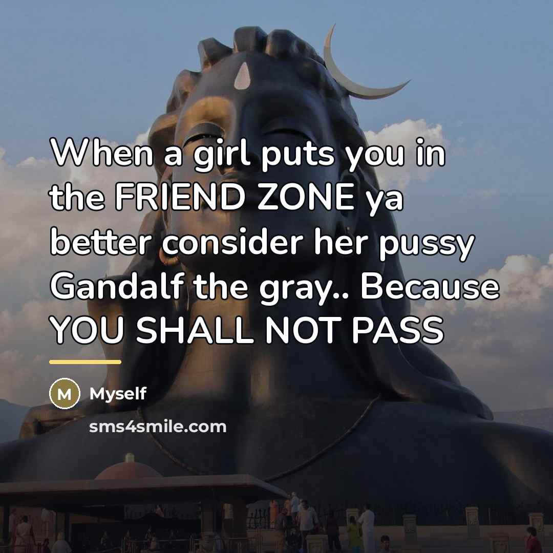 “When a girl puts you in the FRIEND ZONE ya…” quote by Myself