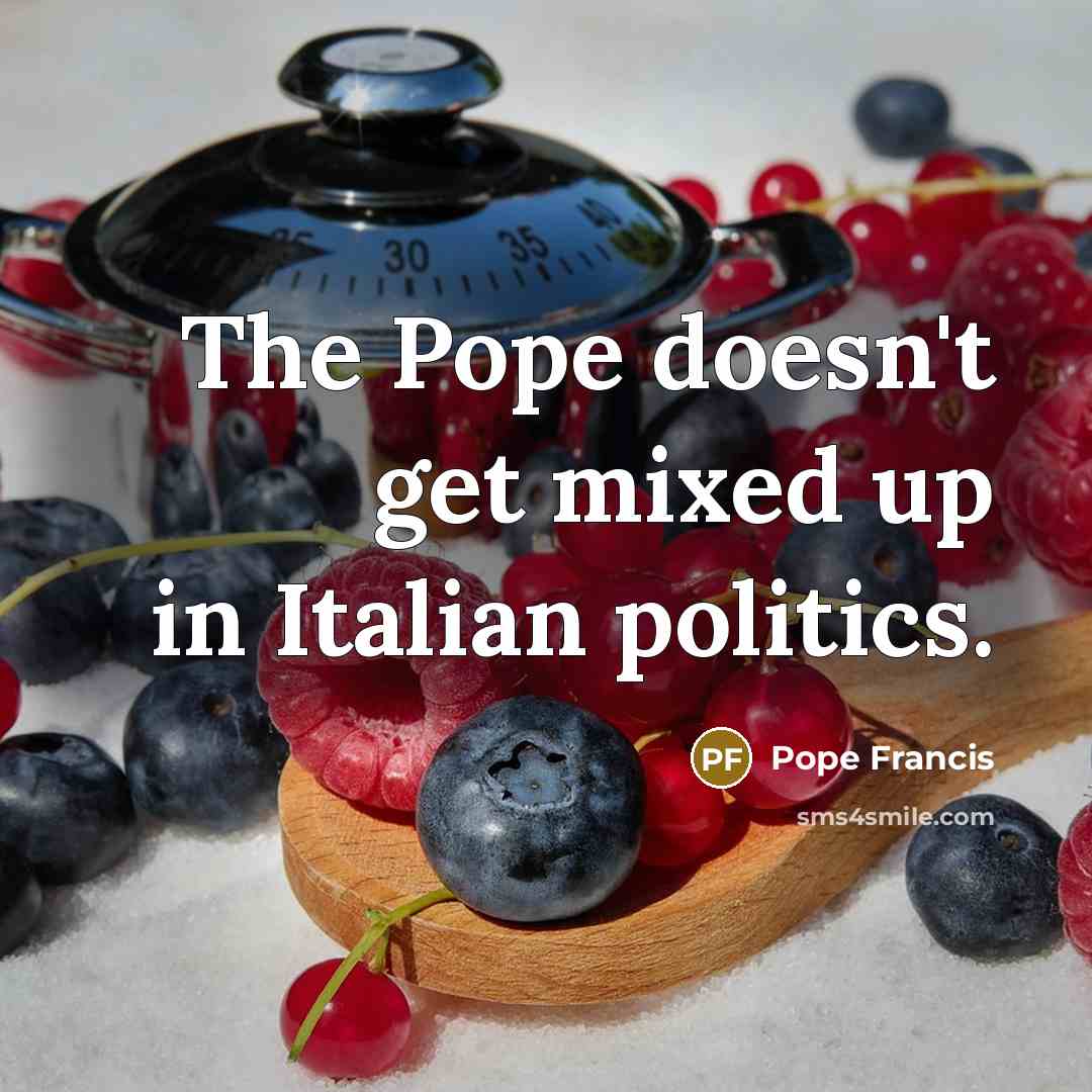“The Pope doesn't get mixed up in Italian politics.…” quote by Pope Francis