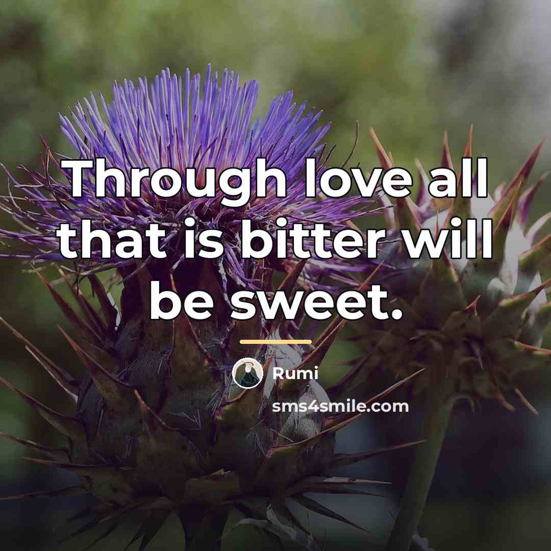 “Through love all that is bitter will be sweet.…” quote by Rumi