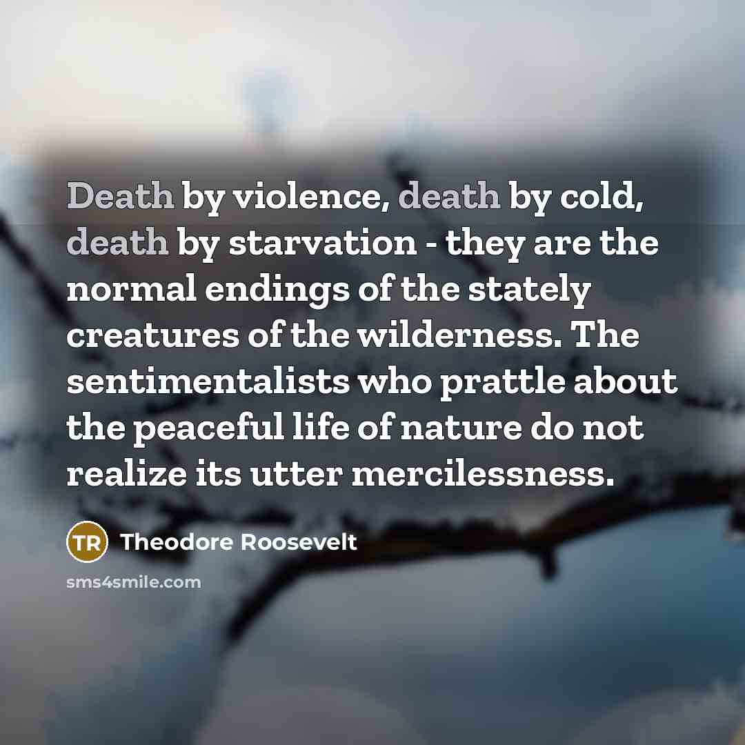 “Death by violence, death by cold, death by starvation -…” quote by Theodore Roosevelt