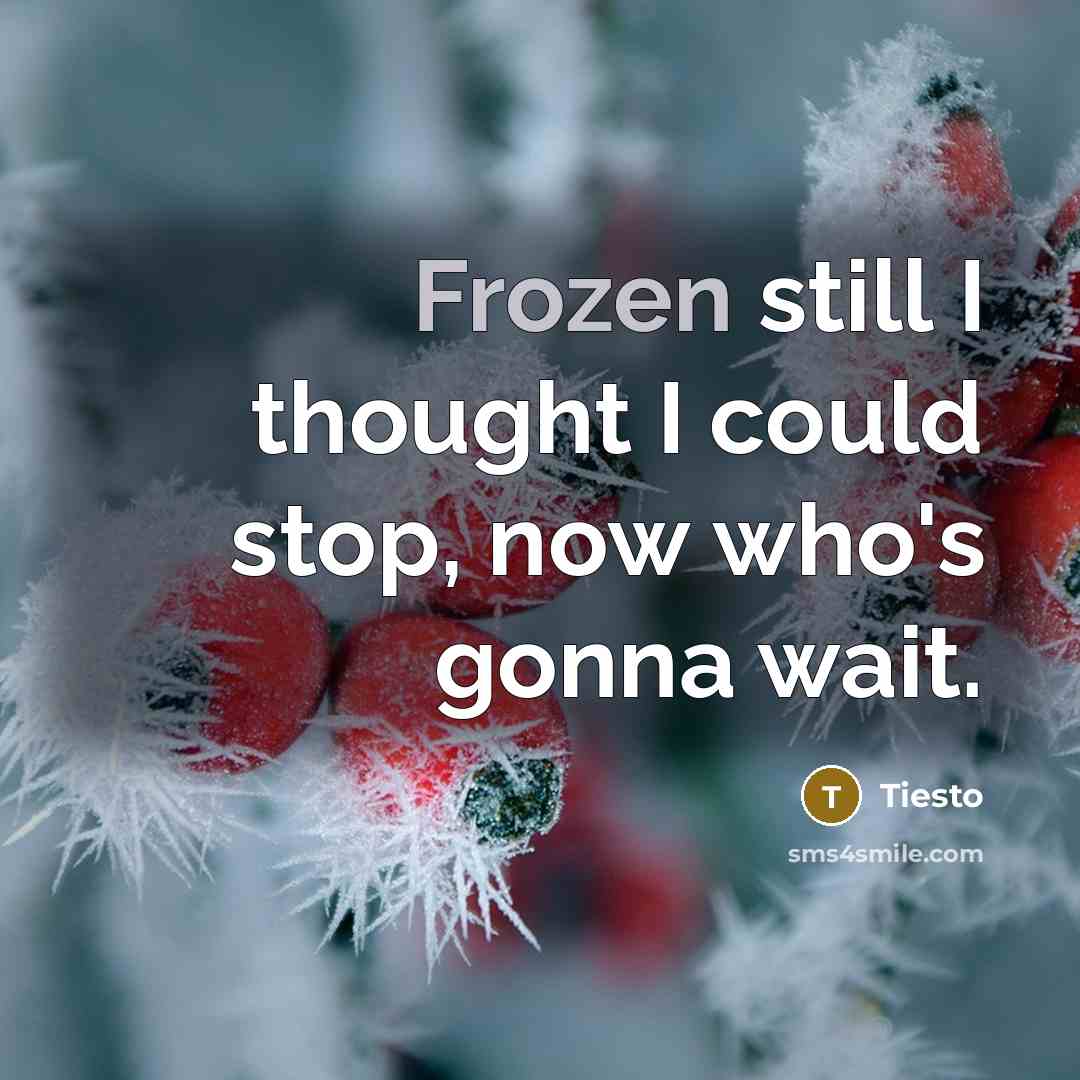 “Frozen still I thought I could stop, now who's gonna…” quote by Tiesto
