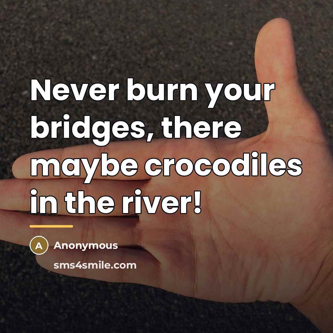 “Never burn your bridges, there maybe crocodiles in the river!…” quote by Anonymous