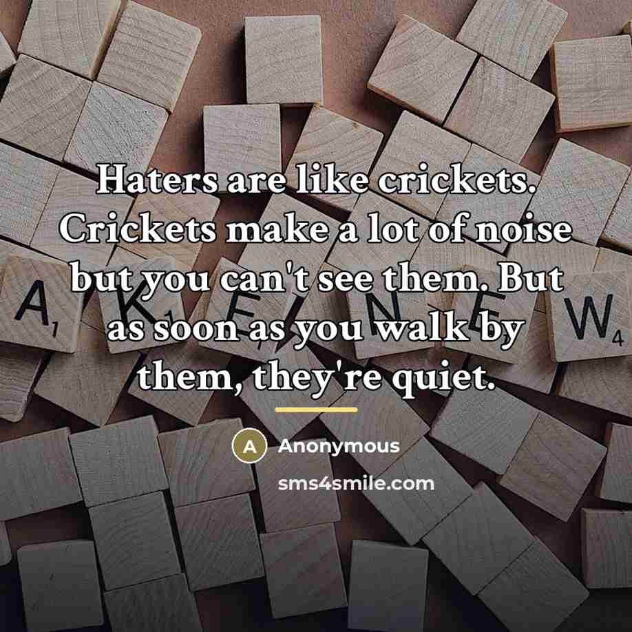 “Haters are like crickets. Crickets make a lot of noise…” quote by Anonymous