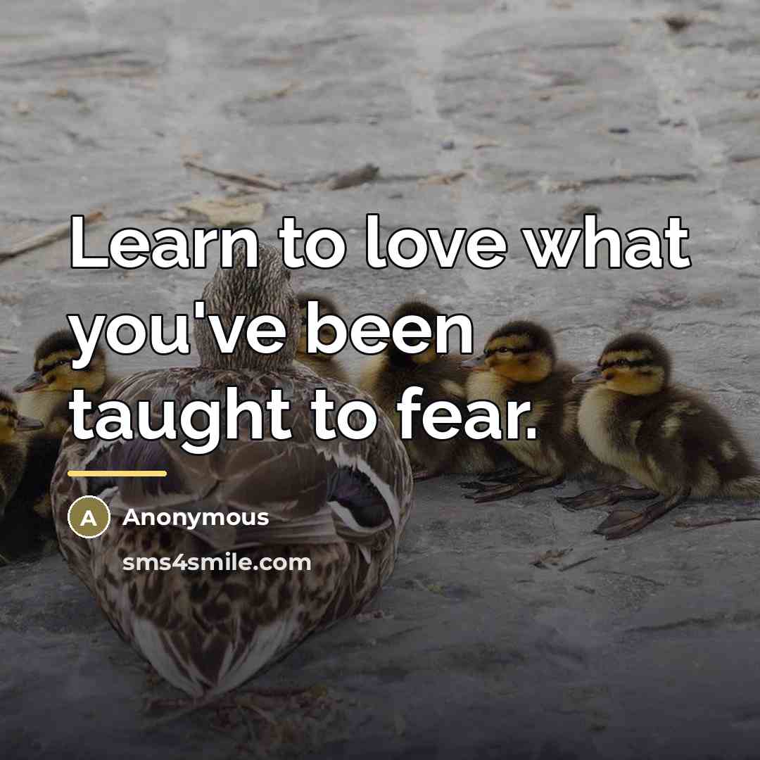 “Learn to love what you've been taught to fear.…” quote by Anonymous