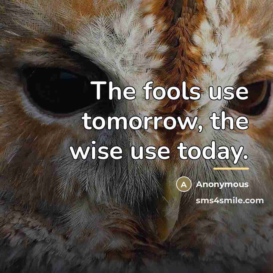 “The fools use tomorrow, the wise use today.…” quote by Anonymous