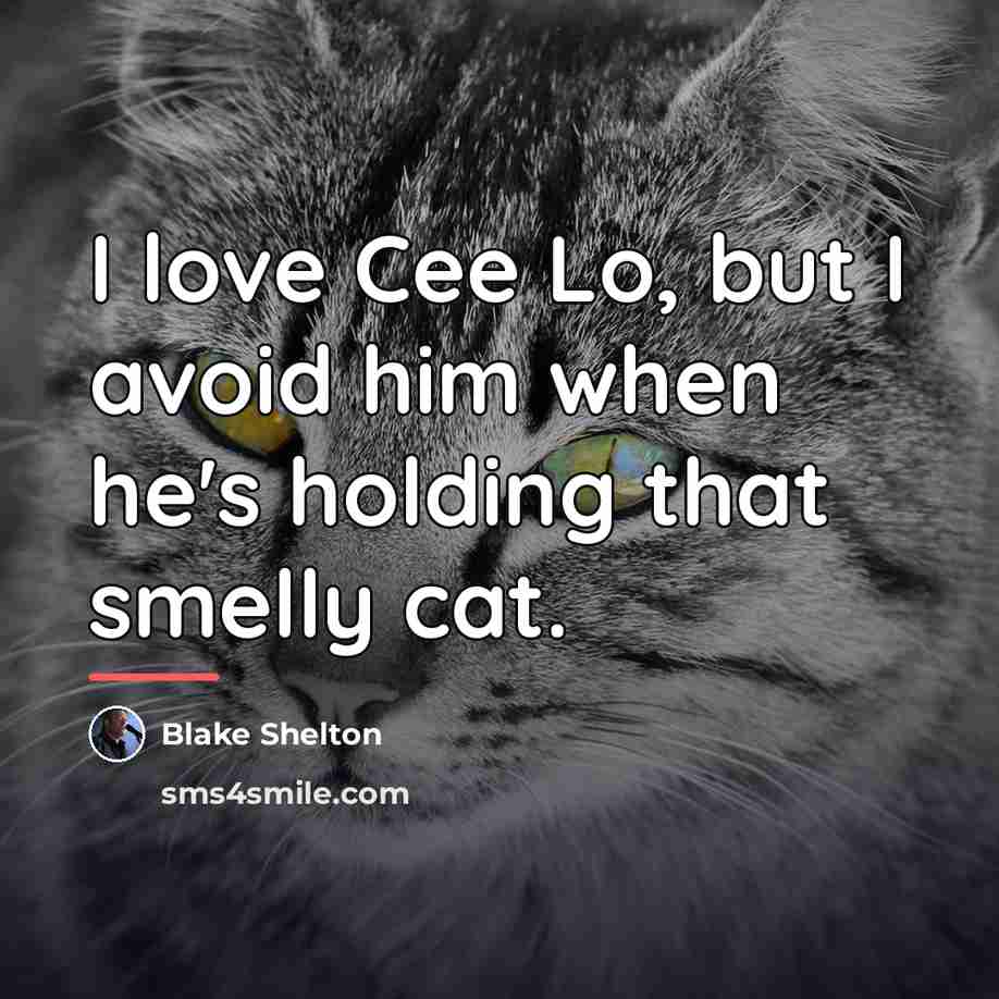 “I love Cee Lo, but I avoid him when he's…” quote by Blake Shelton