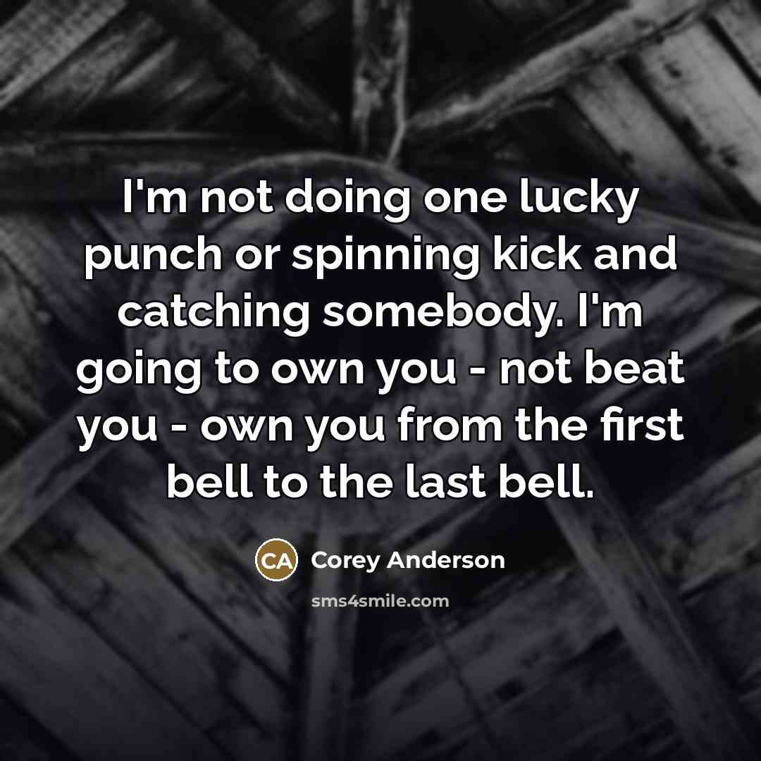 “I'm not doing one lucky punch or spinning kick and…” quote by Corey Anderson