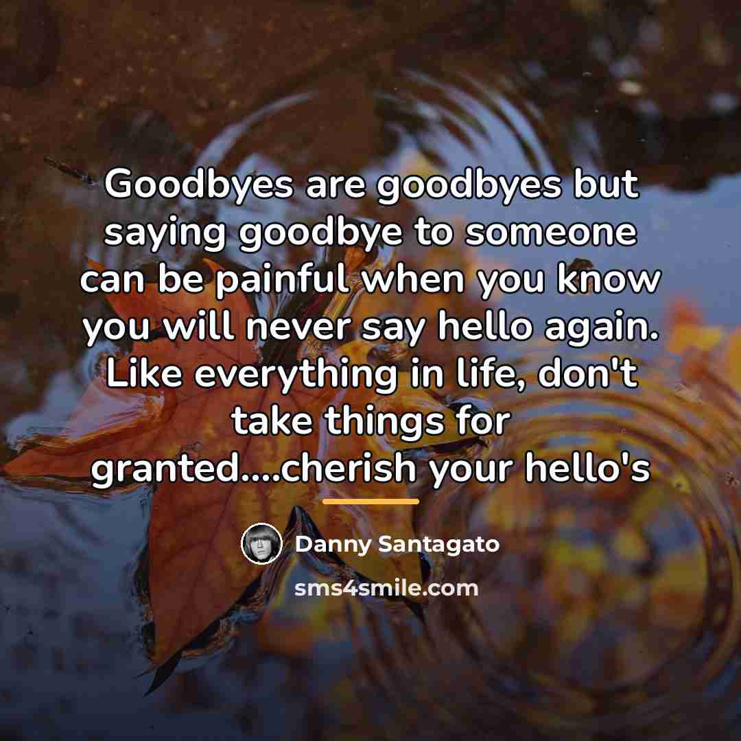 “Goodbyes are goodbyes but saying goodbye to someone can be…” quote by Danny Santagato