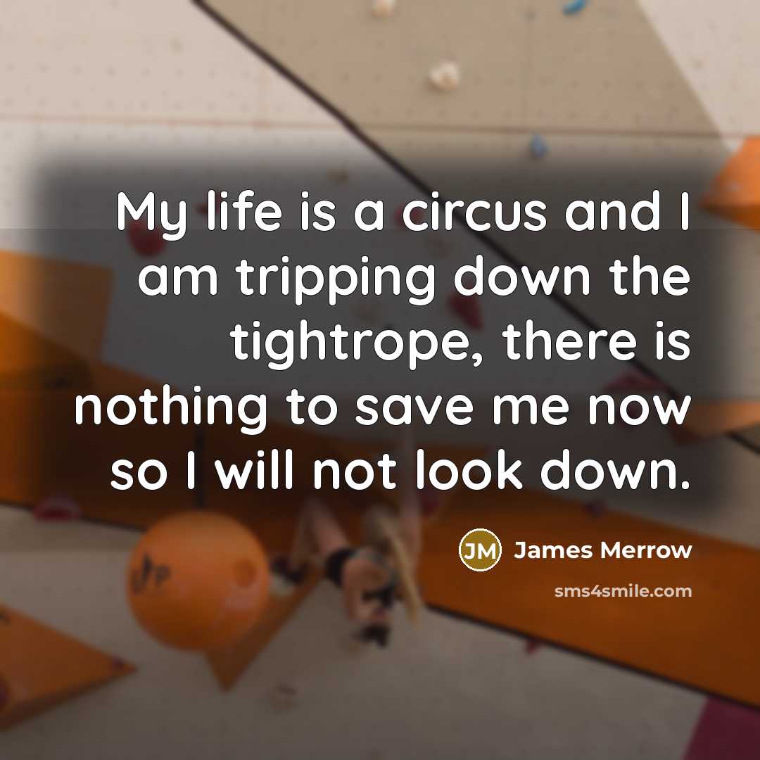“My life is a circus and I am tripping down the tightrope, there is nothing to save me now so I will not look down.” quote by James Merrow
