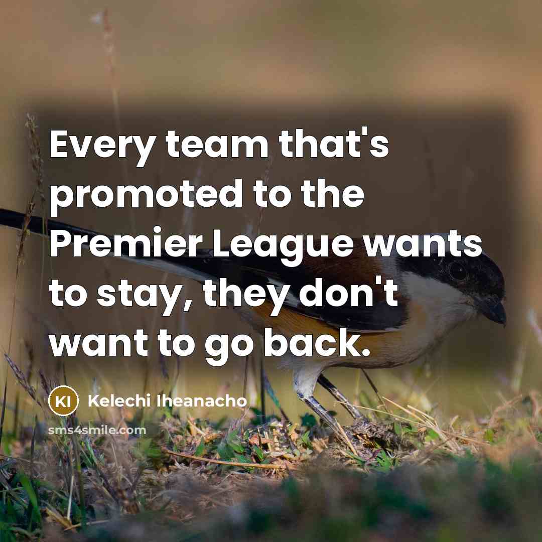“Every team that's promoted to the Premier League wants to…” quote by Kelechi Iheanacho
