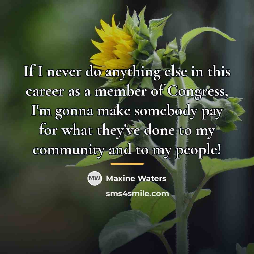 “If I never do anything else in this career as…” quote by Maxine Waters