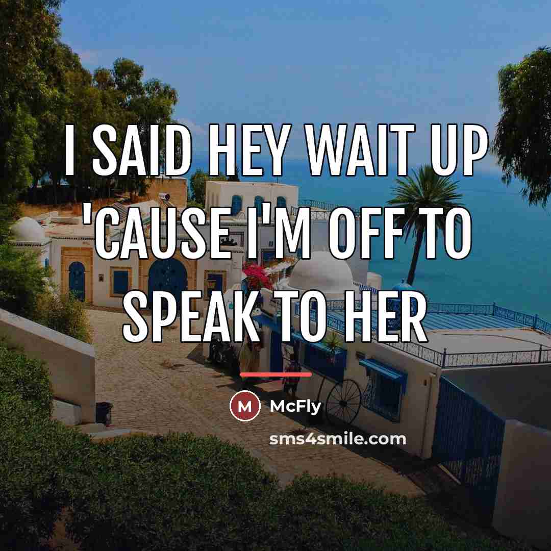 “I said hey wait up 'cause I'm off to speak…” quote by McFly