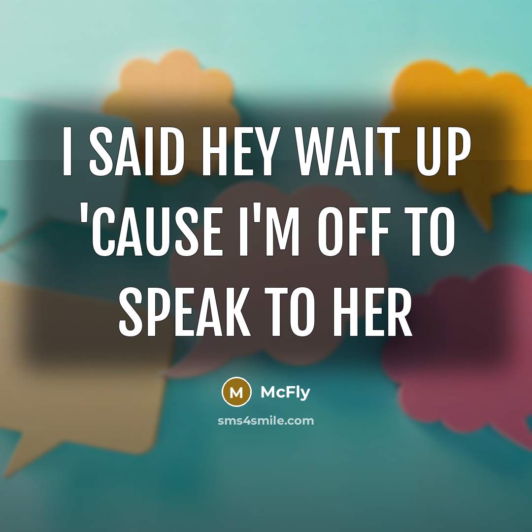 “I said hey wait up 'cause I'm off to speak to her” quote by McFly